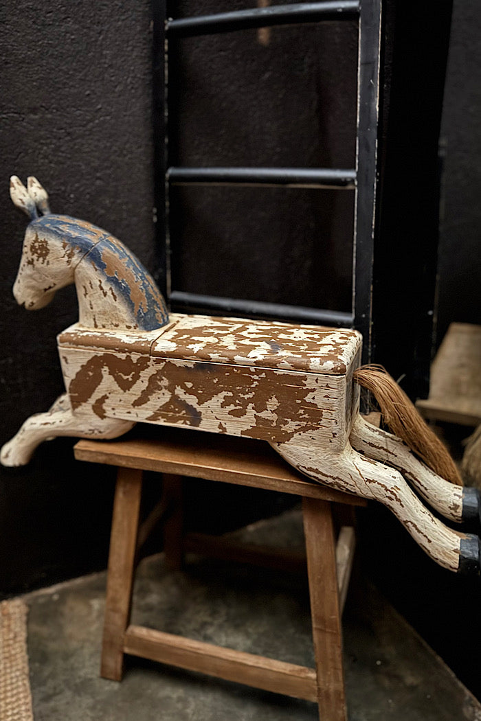 THE SECRET HORSE