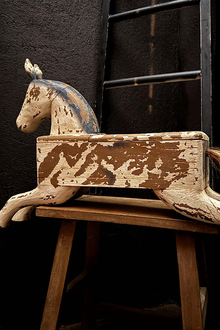 THE SECRET HORSE