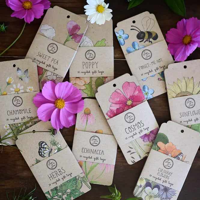 GIFT TAG PACKS